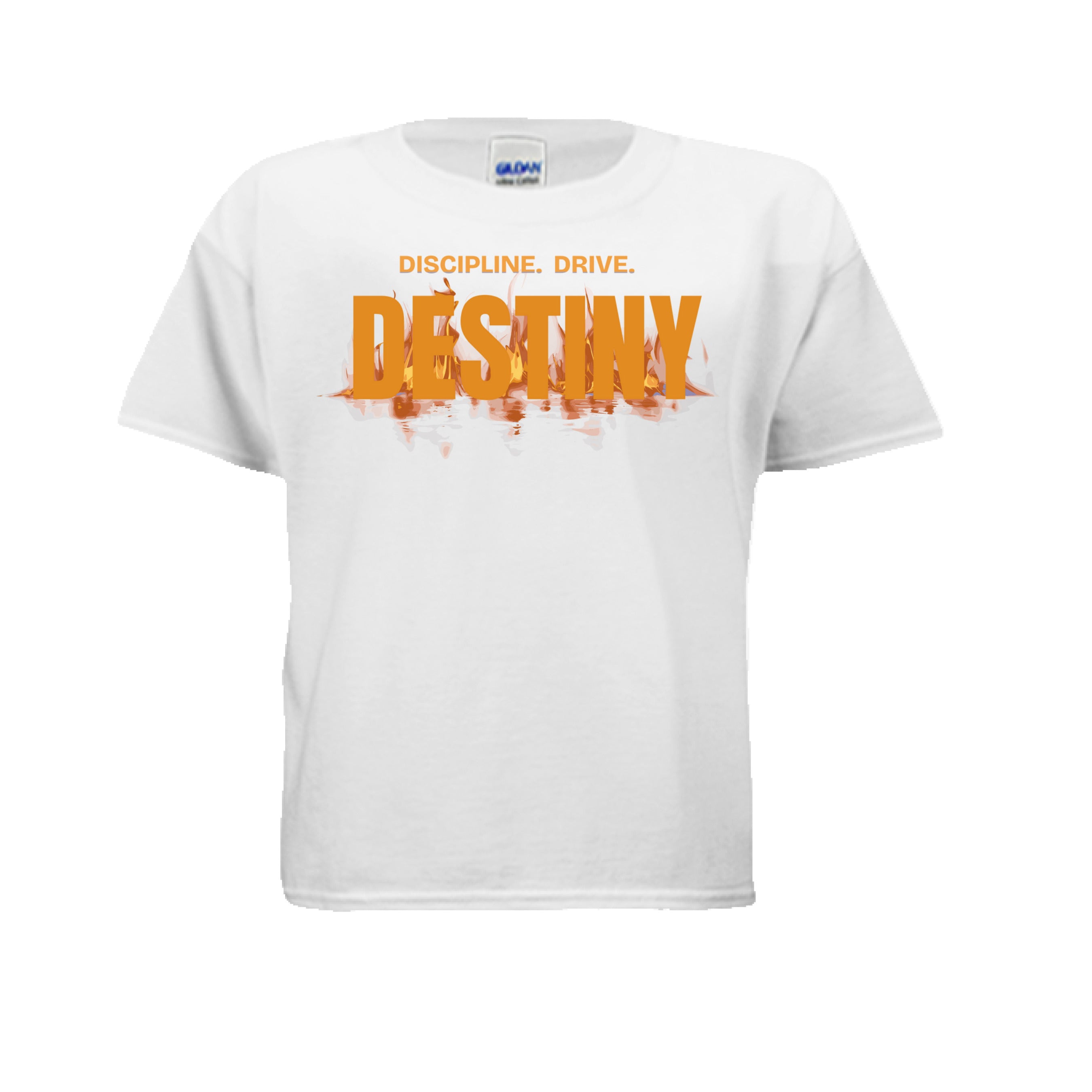 Discipline Drive Destiny kids graphic tee